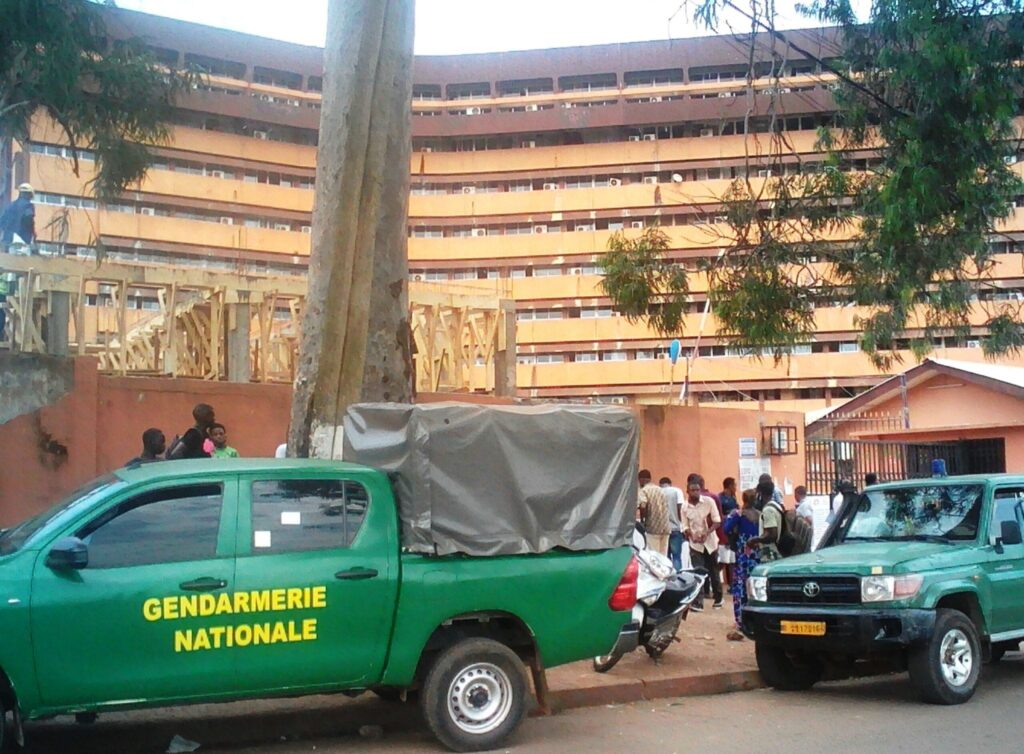 Douala : 4 présumés dealers de cannabis aux arrêts