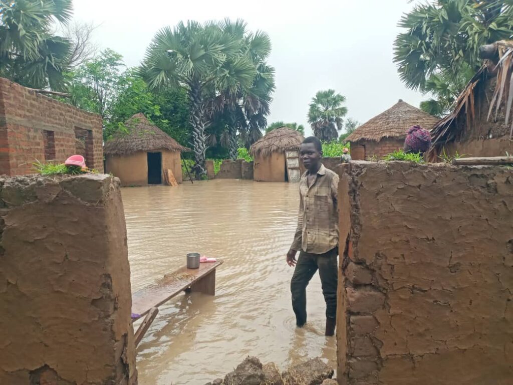Extrême-Nord : plusieurs communes sous les eaux