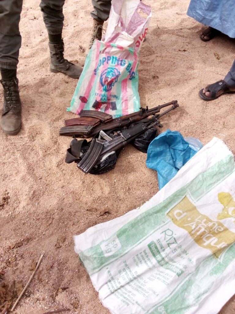 Extrême-Nord : encore des armes et munitions saisies