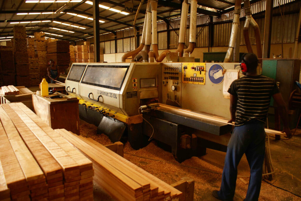 Sangmélima : vers la création d’une usine de transformation du bois