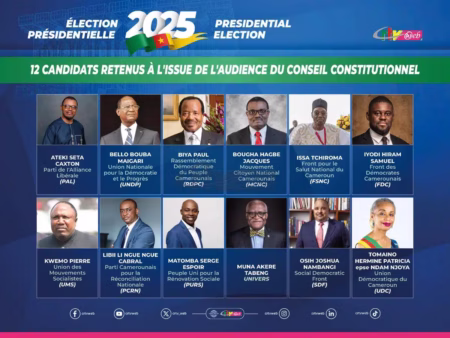 Opposition Camerounaise, la plus bête d'Afrique?